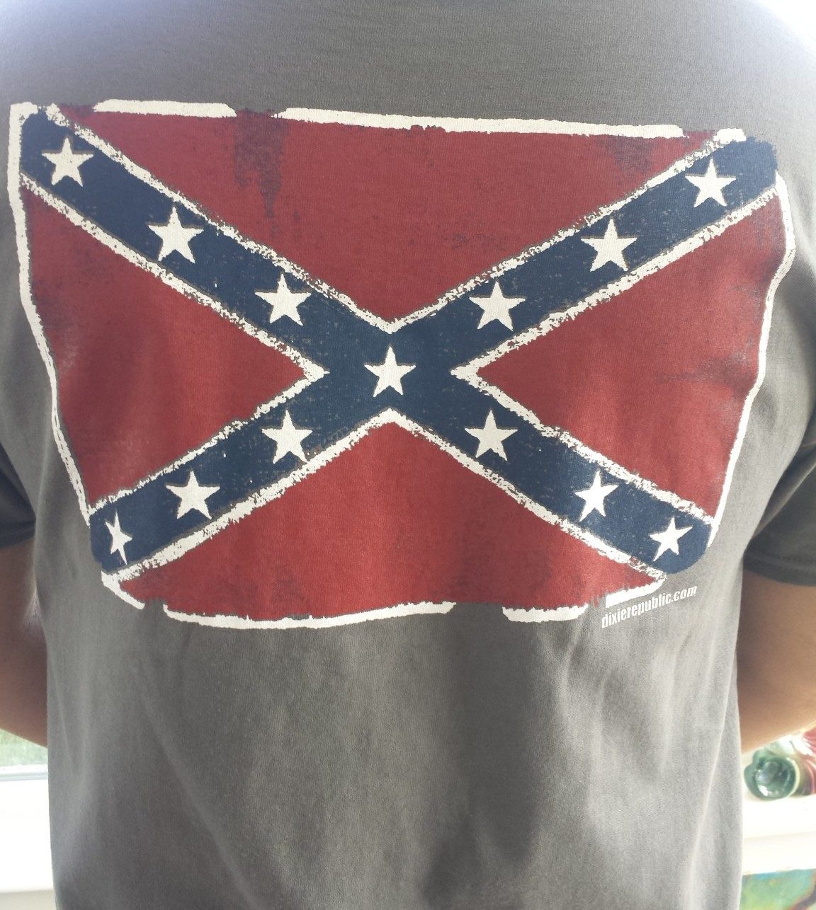 Just The Confederate Flag T Shirt