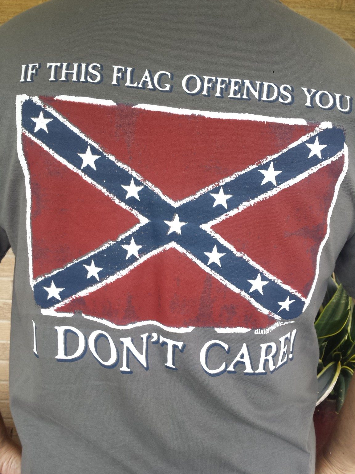 If This Flag Offends You, I Don't Care! T-Shirt