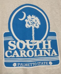 South Carolina logo blue white